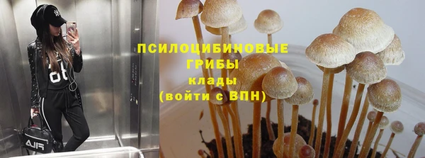 2c-b Белоозёрский