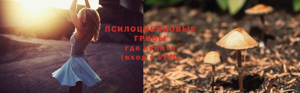 2c-b Балабаново