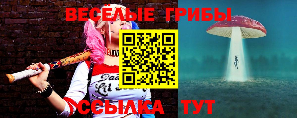 Луховицы  Псилоцибиновые грибы Cubensis  Вход с VPN  Галлюциногенные грибы Cubensis 